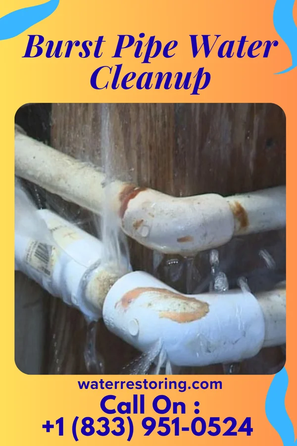 Burst Pipe Water Cleanup in Hazel, KY