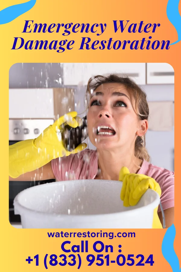 Emergency Water Damage Restoration in Hazel, KY