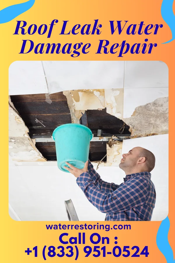 Roof Leak Water Damage Repair in Hazel, KY