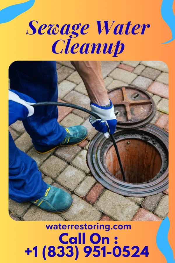 Sewage Water Cleanup in Hazel, KY